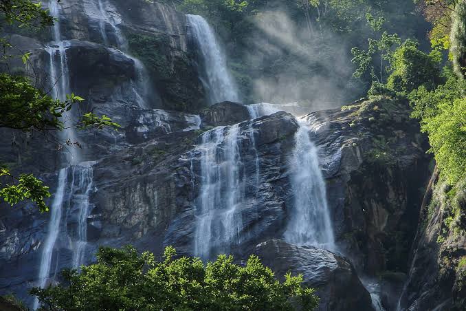 Gombe National Park destination view
