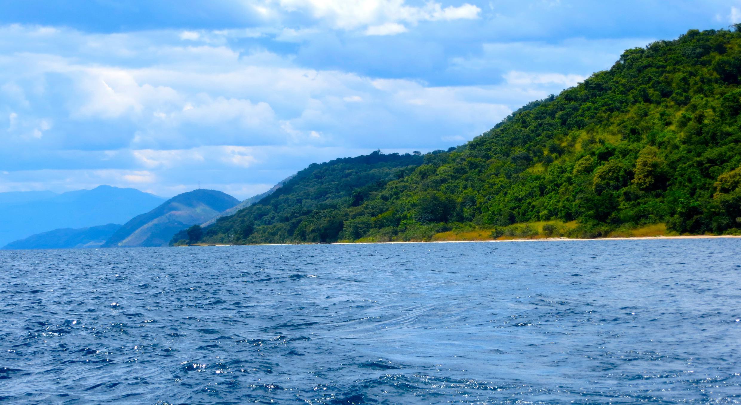 Gombe National Park wildlife and forest