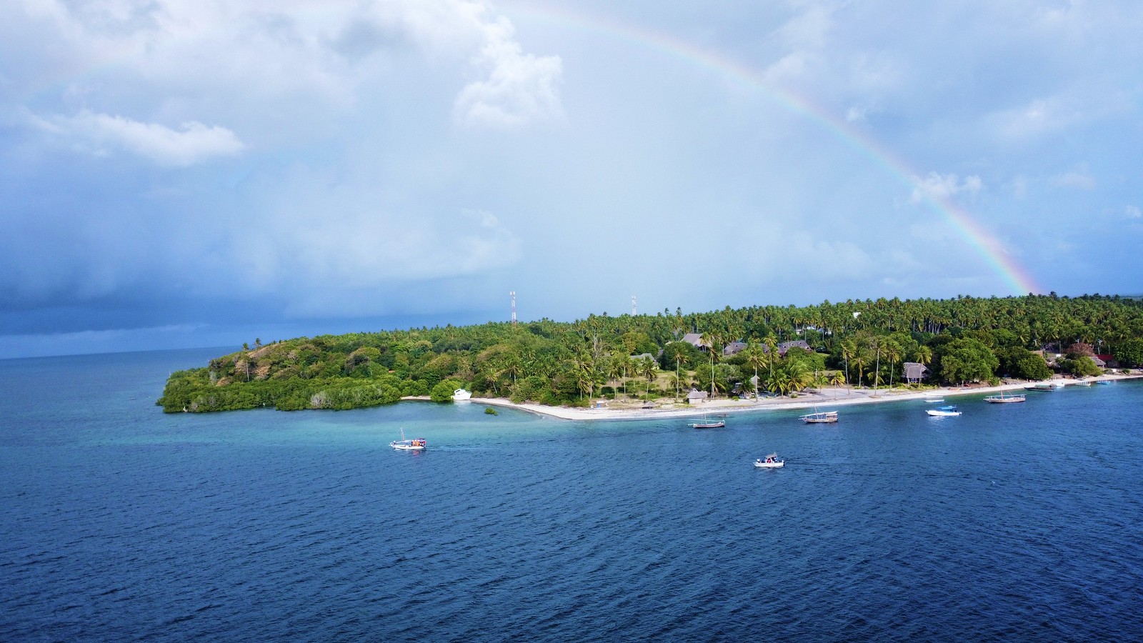 Mafia Island marine biodiversity