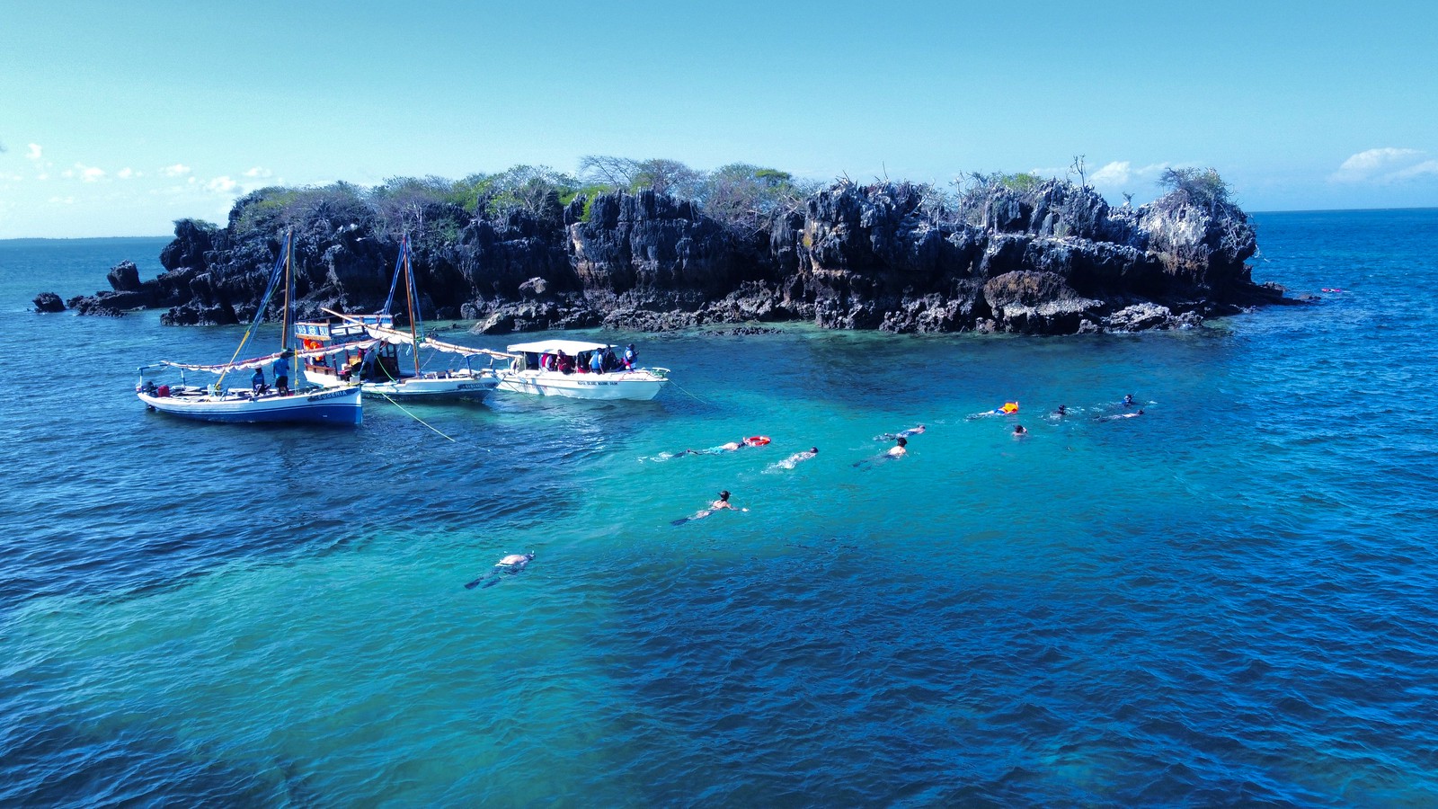 Mafia Island beach and marine experience