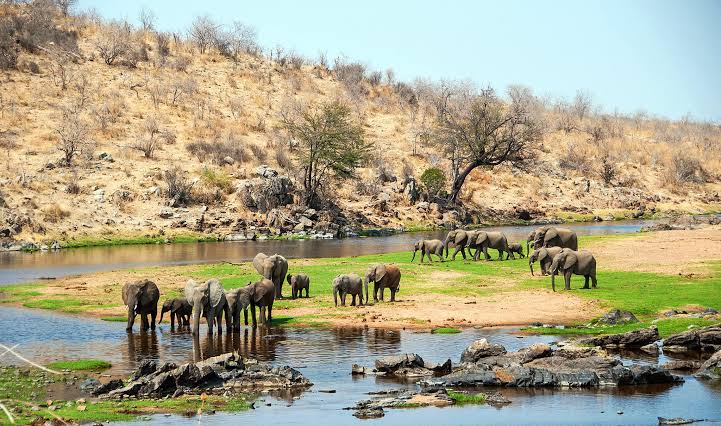 Ruaha National Park safari landscape