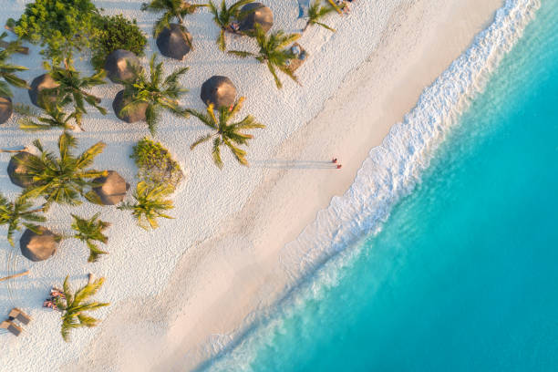 Zanzibar coastal scenery